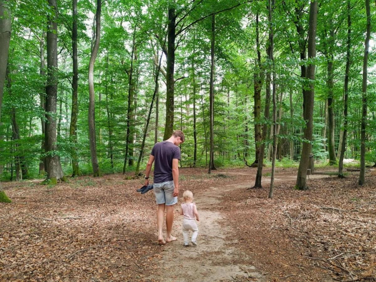 Nice Tent Lodge On A Campsite, Bordering The Forest, Luxembourg At 27 Km Medernach المظهر الخارجي الصورة