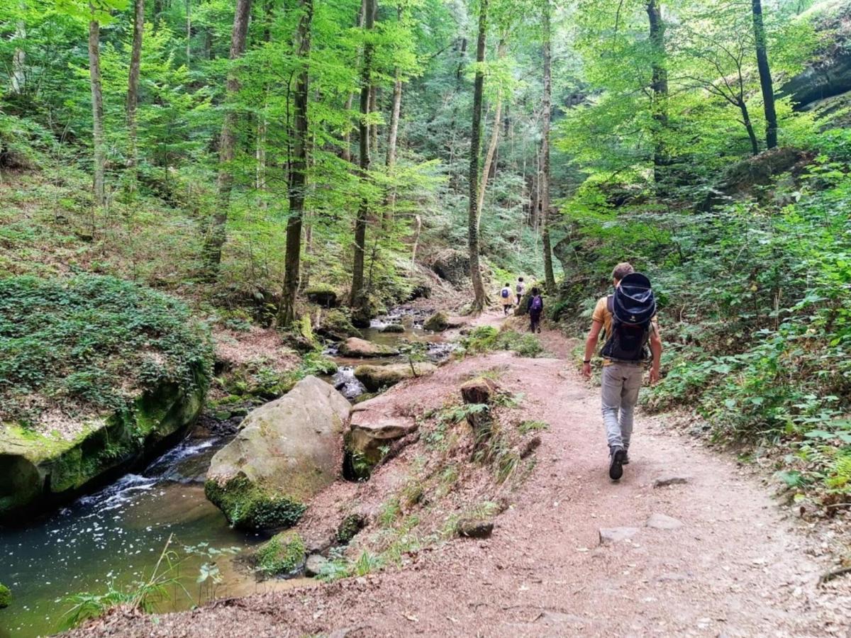 Nice Tent Lodge On A Campsite, Bordering The Forest, Luxembourg At 27 Km Medernach المظهر الخارجي الصورة